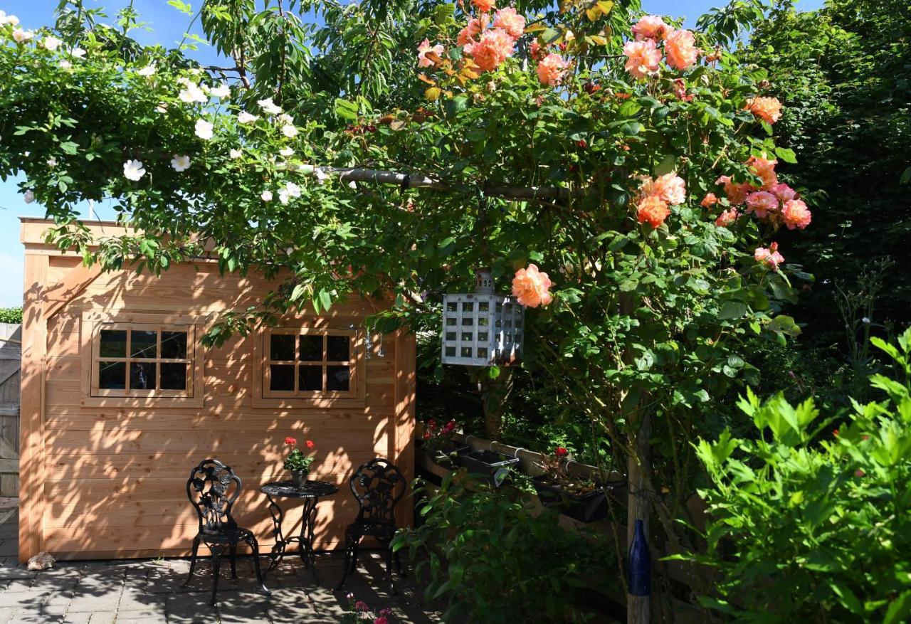 أوديسْخيلد Wadden Eiland Bed En Breakfast Op Texel المظهر الخارجي الصورة