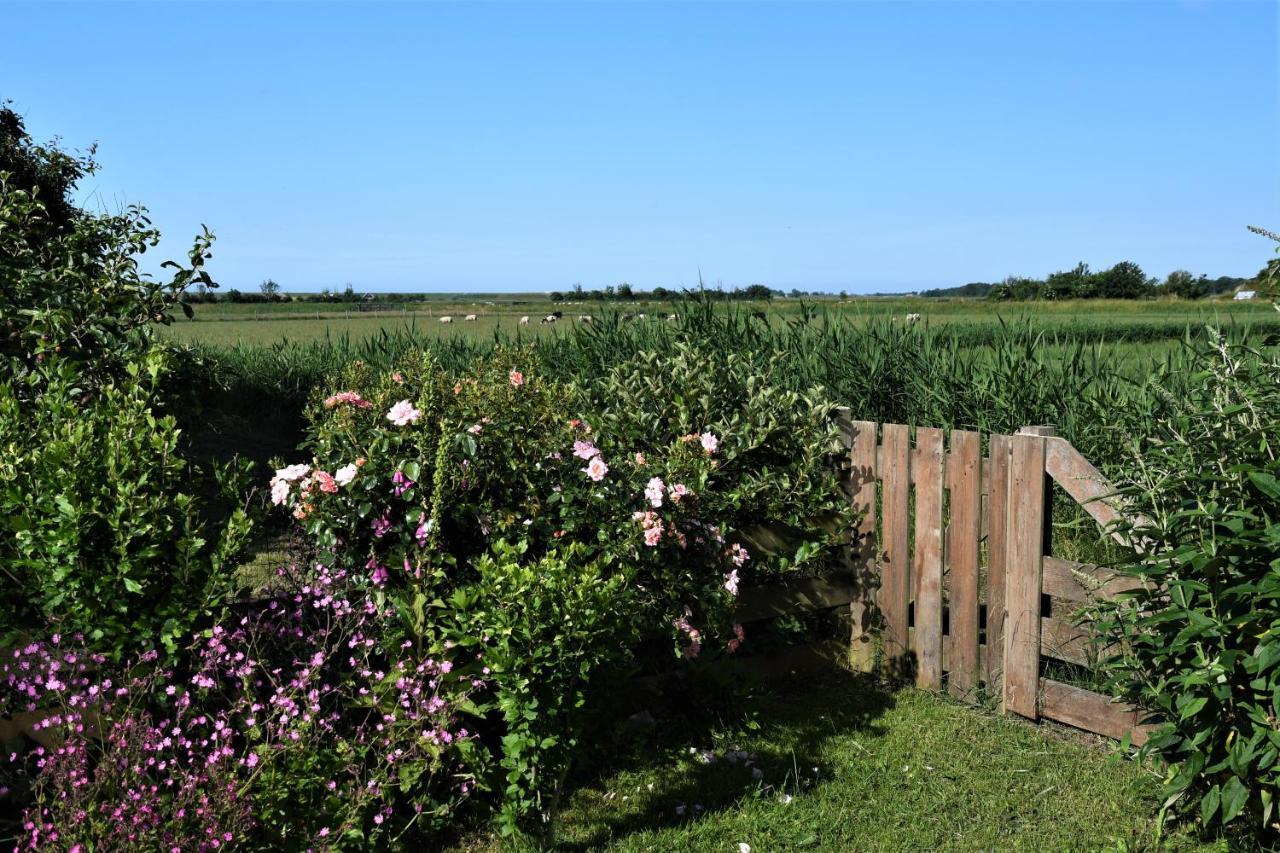 أوديسْخيلد Wadden Eiland Bed En Breakfast Op Texel المظهر الخارجي الصورة
