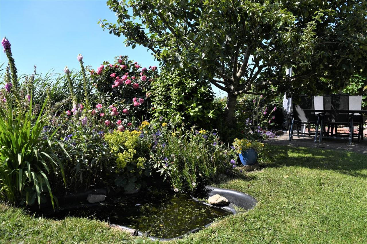 أوديسْخيلد Wadden Eiland Bed En Breakfast Op Texel المظهر الخارجي الصورة
