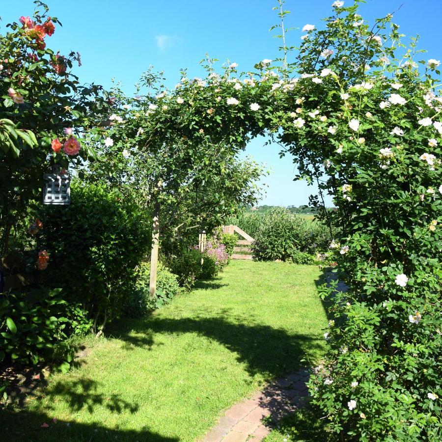 أوديسْخيلد Wadden Eiland Bed En Breakfast Op Texel المظهر الخارجي الصورة